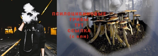 дмт Остров