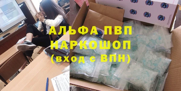 стаф Осташков