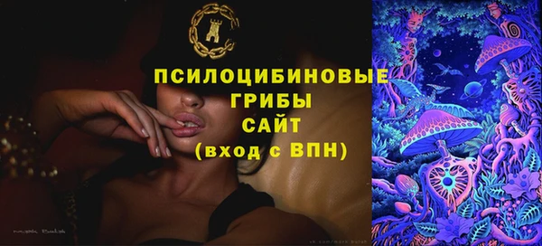 стаф Осташков