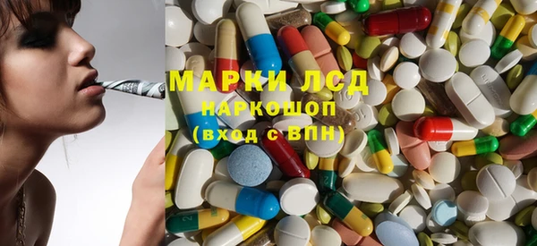 стаф Осташков