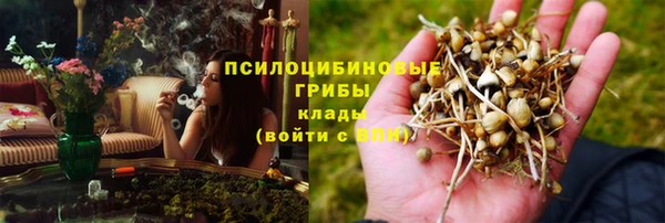 стаф Осташков