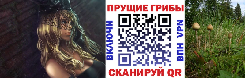 продажа наркотиков  Ряжск  Галлюциногенные грибы мицелий 